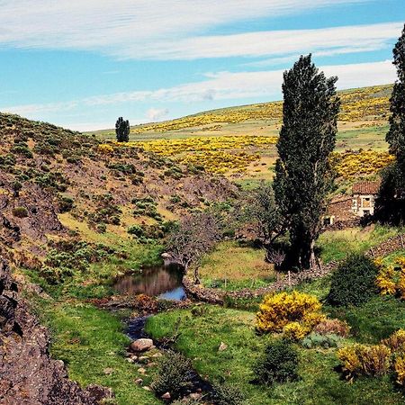 Casa Rural La Vereilla Barajas de Gredos Екстер'єр фото