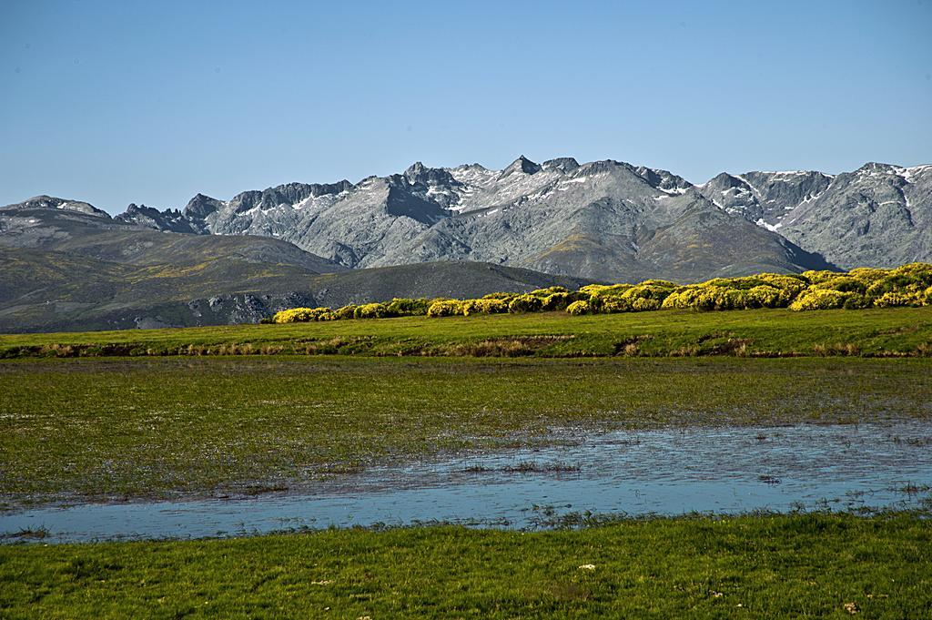 Casa Rural La Vereilla Barajas de Gredos Екстер'єр фото